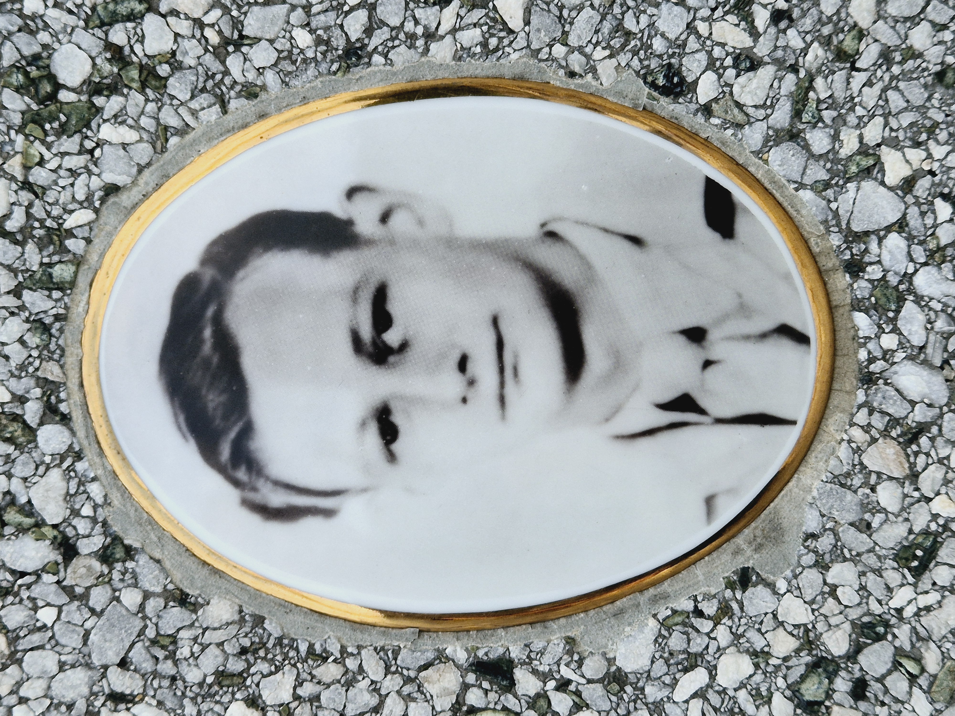 CHEVALIER Bernard